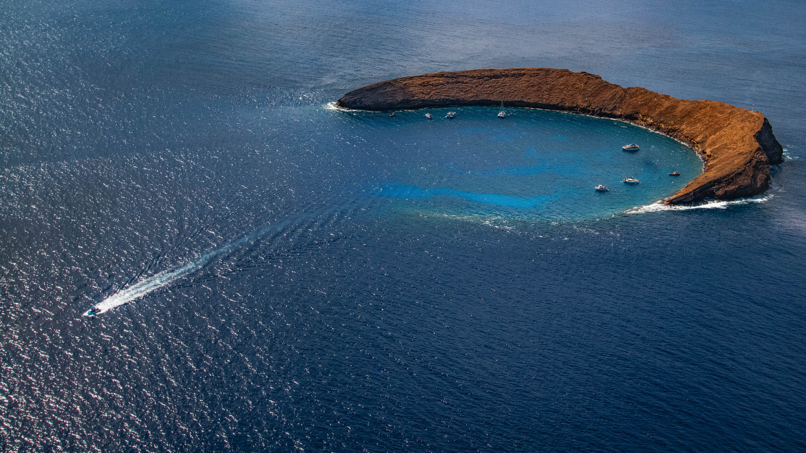 Molokini & Turtle Adventure | Pacific Whale Cruises