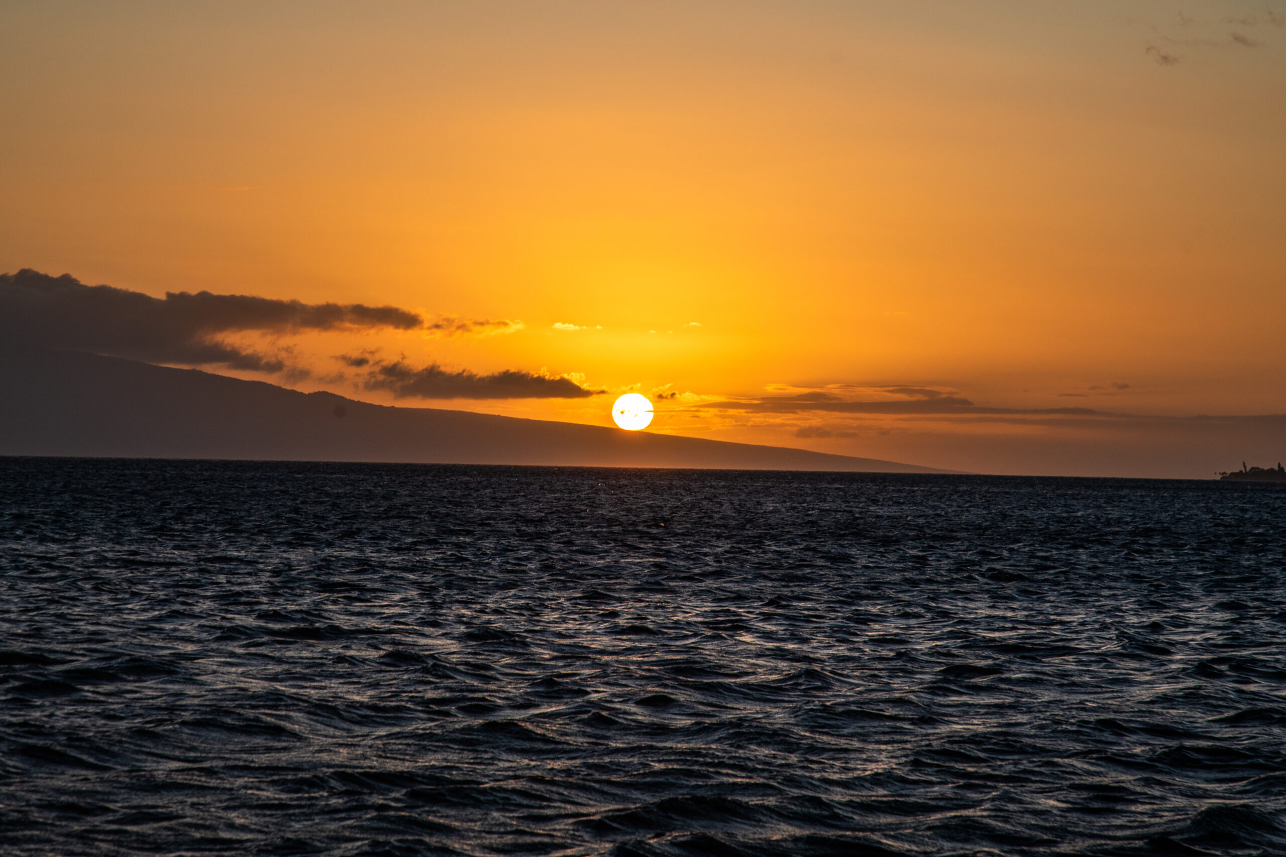 Maui Snorkel & Sunset Sail | Pacific Whale Cruises
