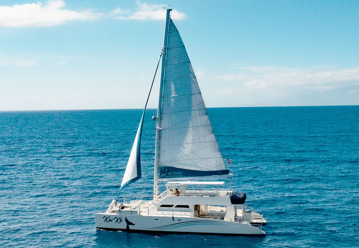 Meet Our Fleet | PacWhale