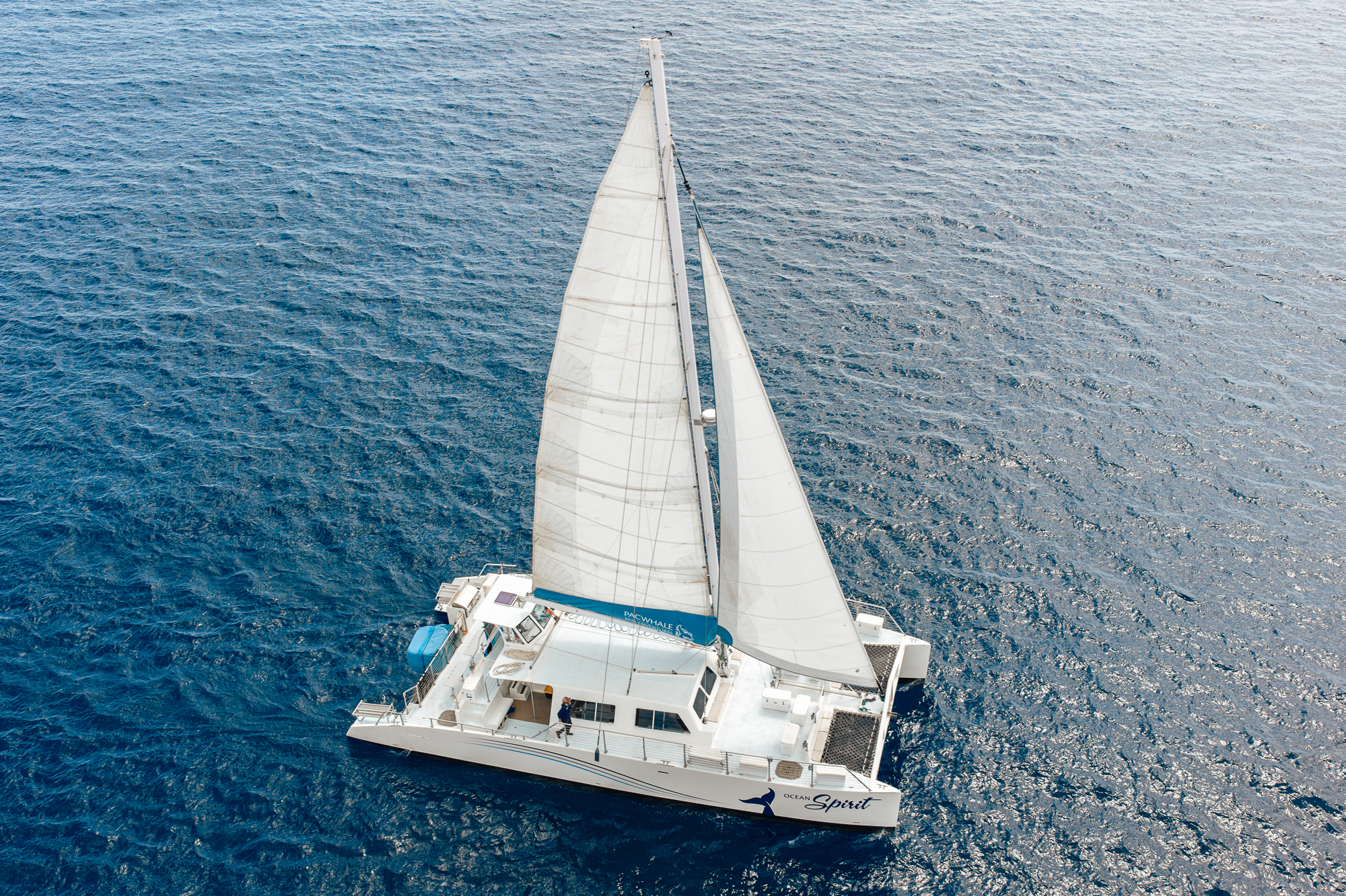 Meet Our Fleet | PacWhale